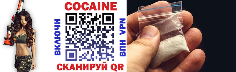 COCAIN Fish Scale  как найти закладки  Шадринск 