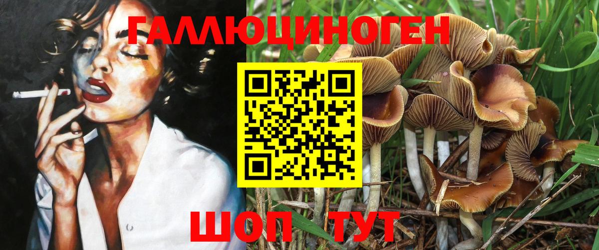 Псилоцибиновые грибы Magic Shrooms  закладки  Шадринск 