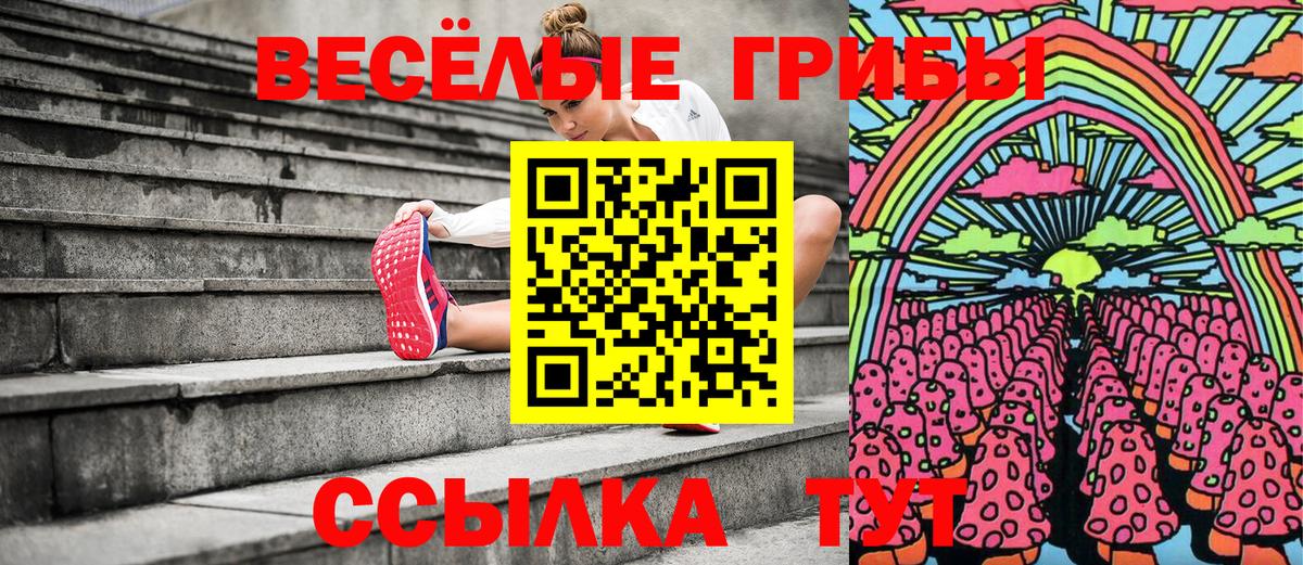 Галлюциногенные грибы Psilocybine cubensis  Вход с VPN  Псилоцибиновые грибы MAGIC MUSHROOMS  Шадринск 