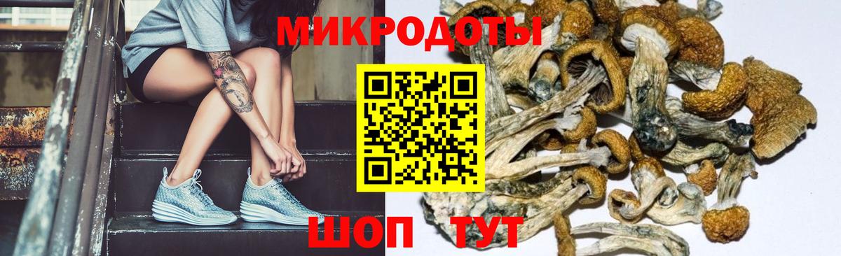 Псилоцибиновые грибы ЛСД Шадринск